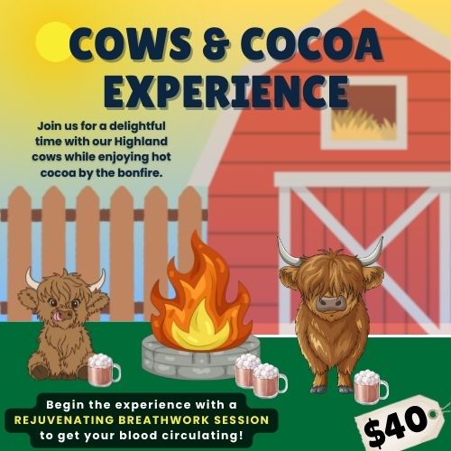 Cows & Cocoa Experience