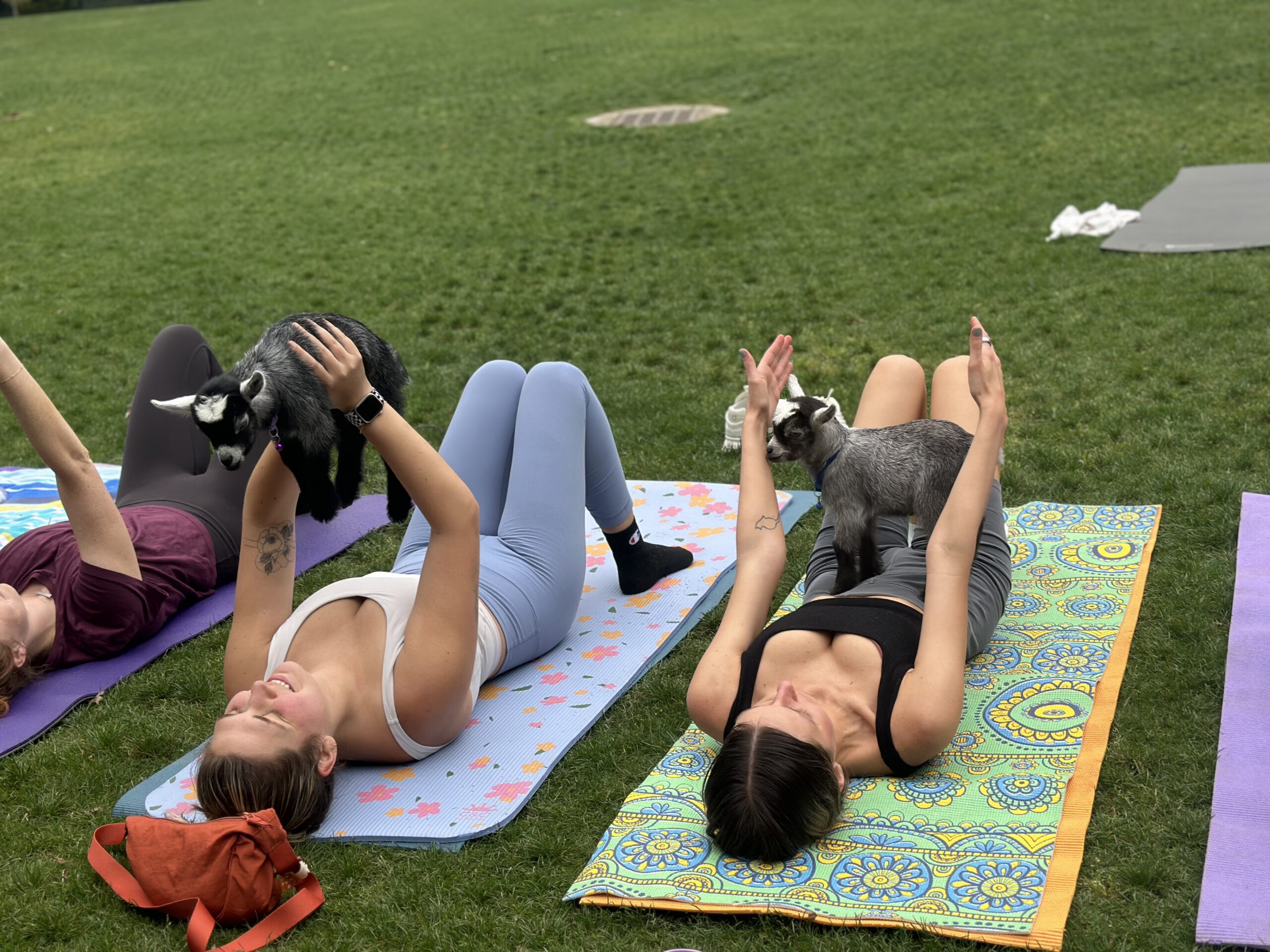 Mat Pilates with Goats