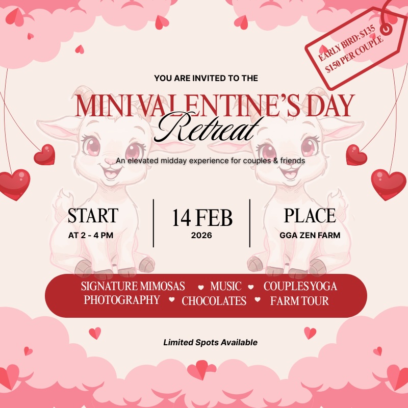 Mini Valentines Day Retreat