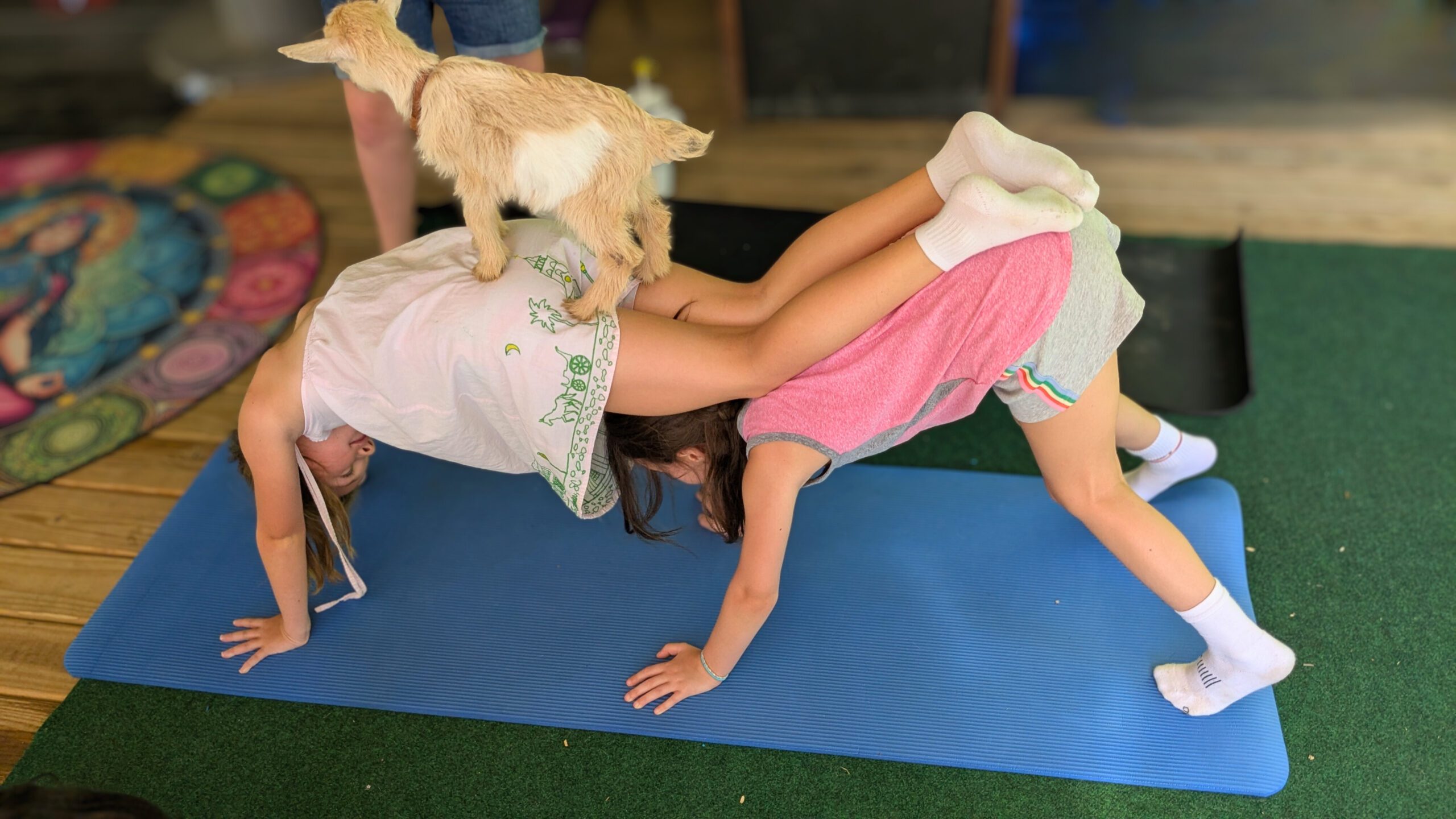 Kids Goat Yoga