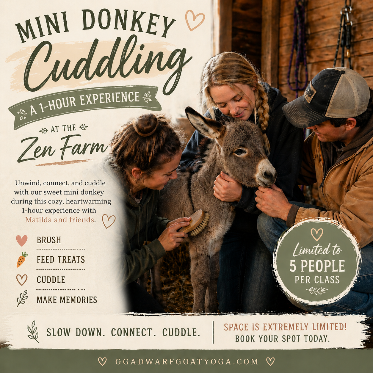 Mini Donkey Cuddling