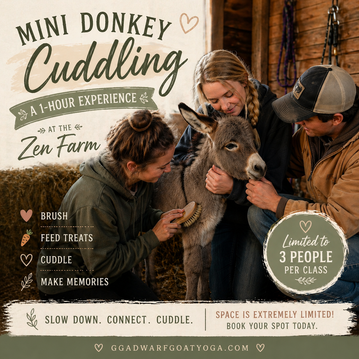 Mini Donkey Cuddling
