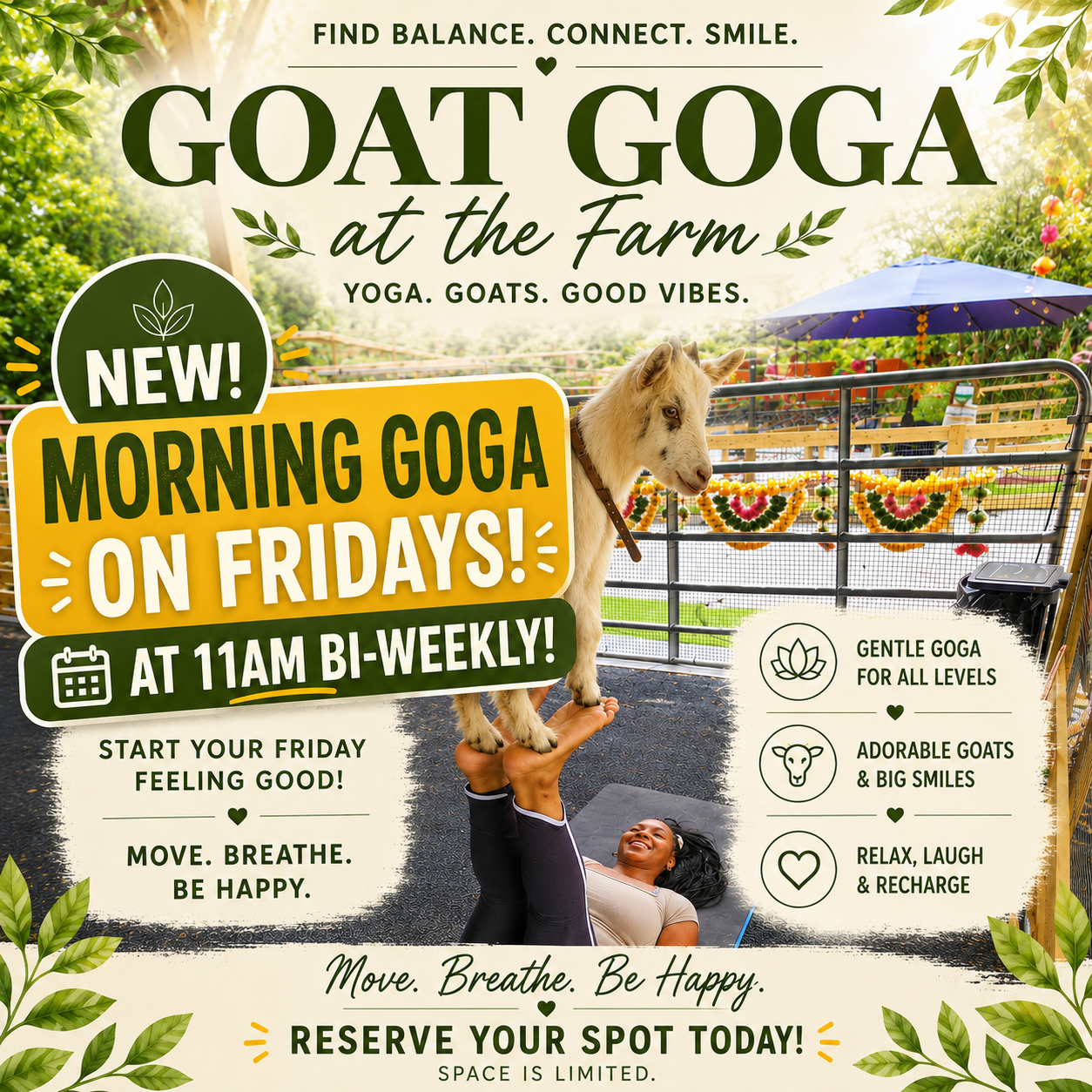 Friday Morning Goga 